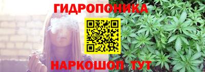 ПСИЛОЦИБИНОВЫЕ ГРИБЫ Боровичи