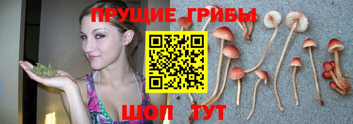 Нефтекамск  Псилоцибиновые грибы ЛСД  купить наркотик  Вход с VPN 